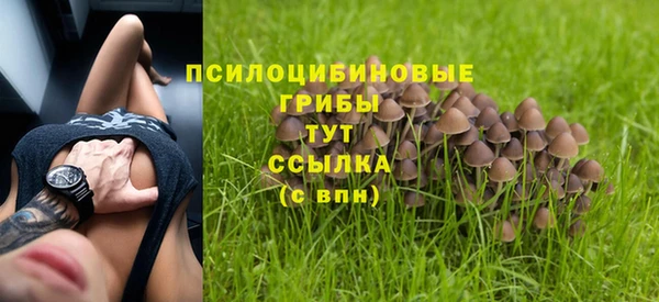ПСИЛОЦИБИНОВЫЕ ГРИБЫ Балахна