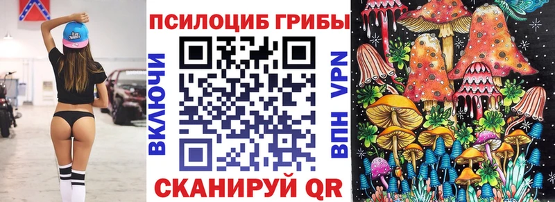 Псилоцибиновые грибы Magic Shrooms  blacksprut вход  Мглин 
